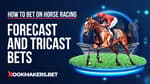 Forecast and Tricast Horse Racing Bets Featured Image