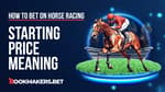 How to Take the Horse Racing SP and Win Featured Image