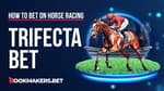 How to Bet a Trifecta in Horse Racing Featured Image