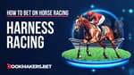 How to Bet on Harness Racing and Win Featured Image