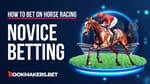 What is a Novice Horse Race Featured Image
