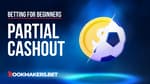 How Does Partial Cash Out Work Featured Image