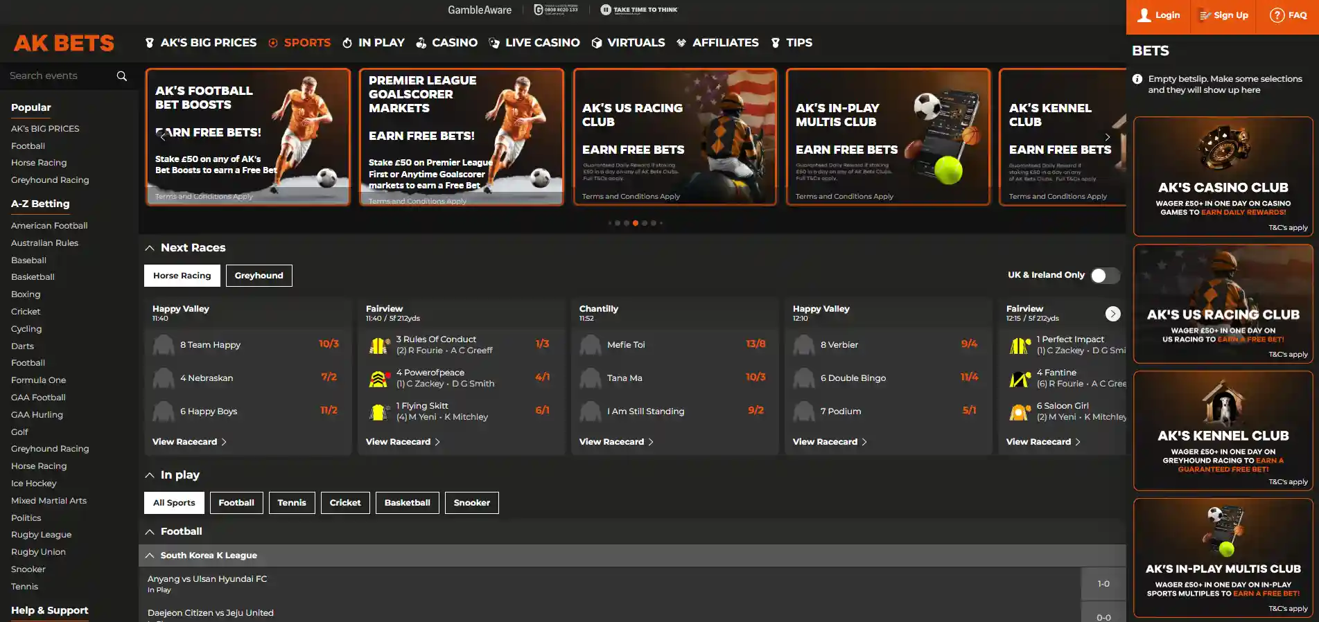 Homepage and sportsbook image of AKbets