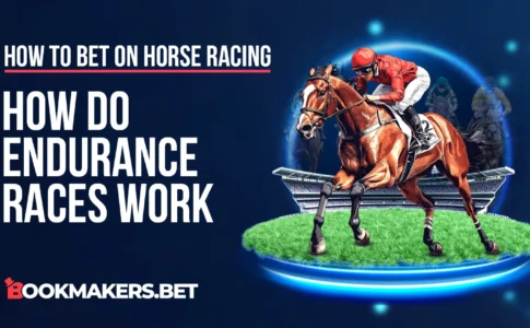 How do Endurance Races Work