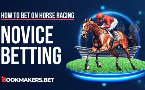 What is a Novice Horse Race